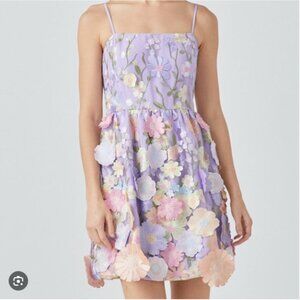 Endless Rose Floral Embroidered Mini Dress Taylor Swift Fairycore Ethereal Sz L